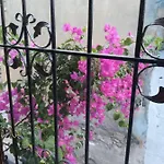 Casa Magnolia Boutique Hotel *
