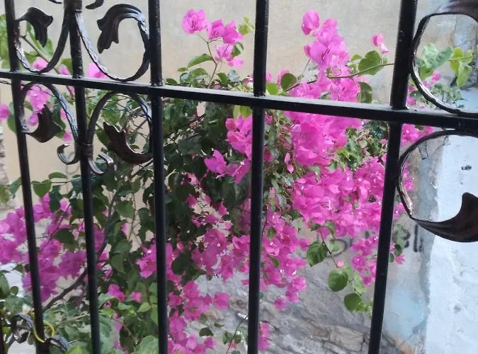 Casa Magnolia Boutique Hotell *
