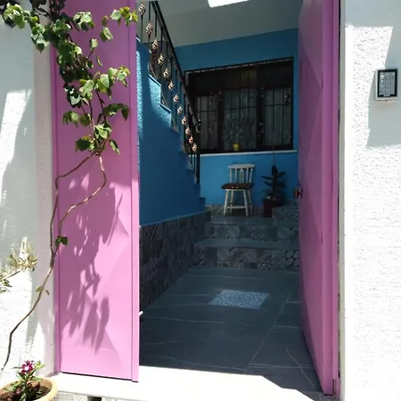 Casa Magnolia Boutique ホテル