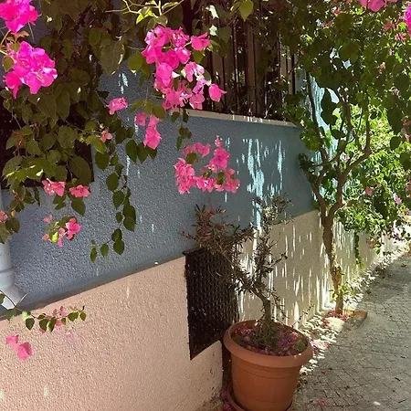 Casa Magnolia Boutique Otel *