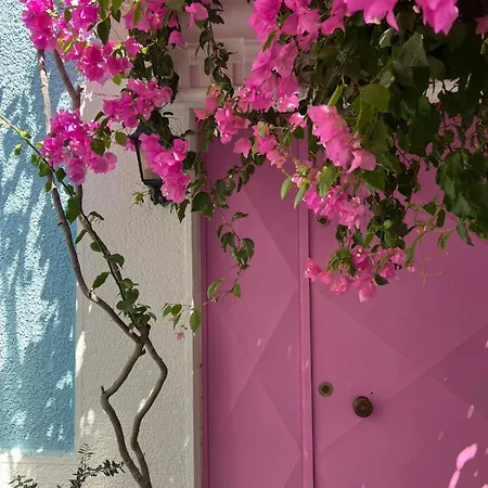 Casa Magnolia Boutique ホテル *