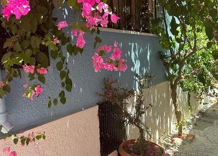 Casa Magnolia Boutique فندق *
