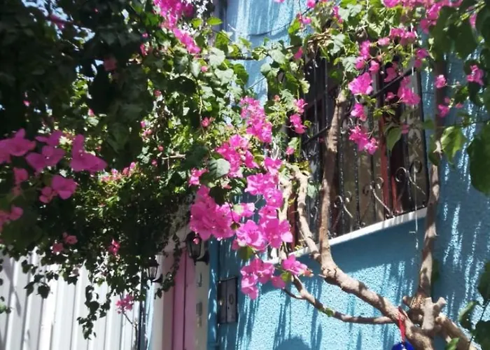 فندق Casa Magnolia Boutique كوشاداسيه