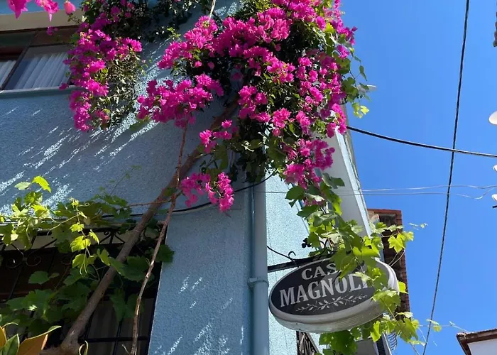 فندق Casa Magnolia Boutique