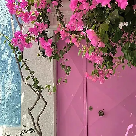 호텔 Casa Magnolia Boutique 쿠사다시