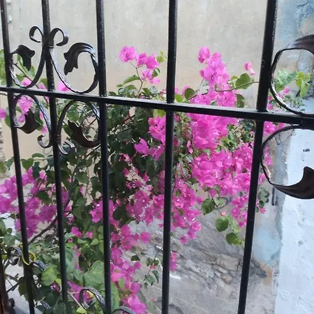 Casa Magnolia Boutique Ξενοδοχείο *