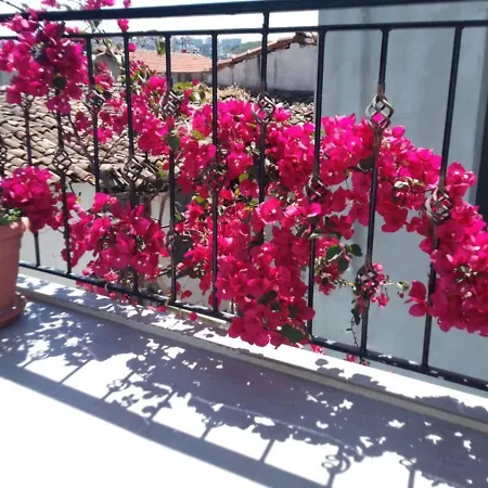 Casa Magnolia Boutique