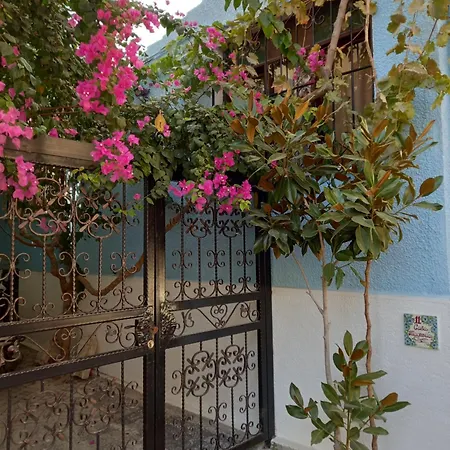 Casa Magnolia Boutique מלון